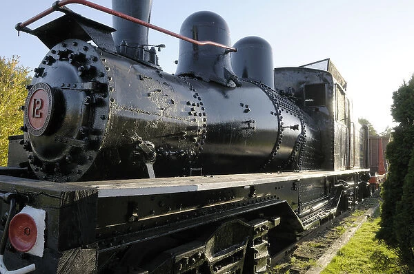 Canada, British Columbia, Cowichan Lake. Old train steam engine