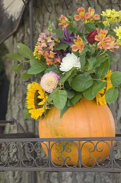Canada, British Columbia, Cowichan Valley. Flowers in a pumpkin vase