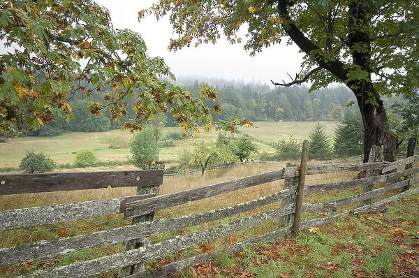 Canada, British Columbia, Cowichan Valley. Rustic wooden fence on an old farm