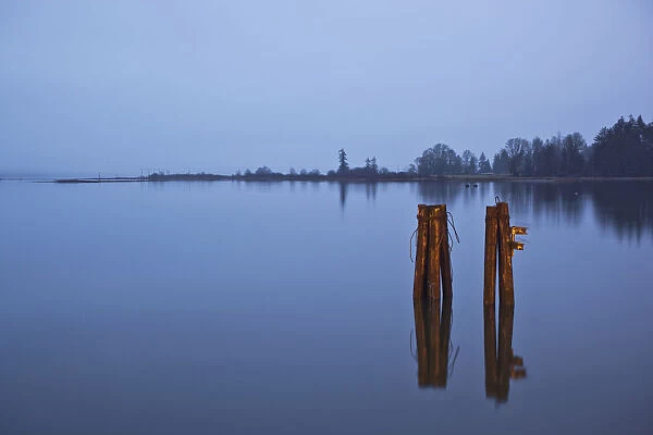 Canada, British Columbia, Dock pilings at dusk on winter evening