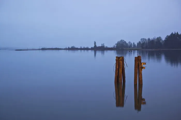 Framed Print : Canada, British Columbia, Dock pilings at dusk on winter evening