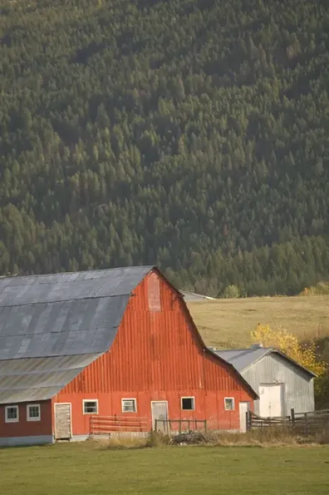 Framed Print : 02. CANADA, British Columbia, Enderby. Red Barn  /  Autumn