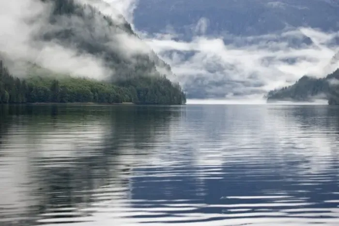 Framed Print : Canada, British Columbia, Fiordlands Recreation Area. Fog-shrouded forest next to ocean inlet