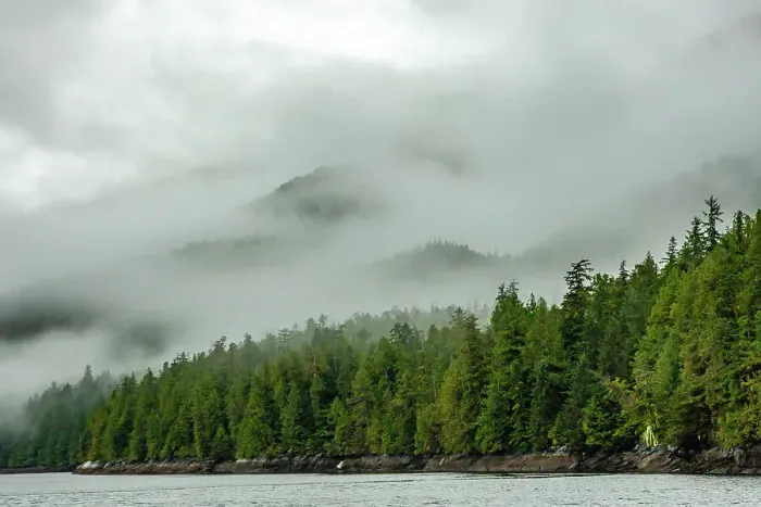 Framed Print : Canada, British Columbia, Inside Passage. Morning fog on forested mountain