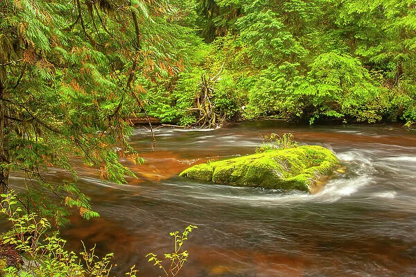 Canada, British Columbia, Inside Passage. Stream and forest in Hartley Bay