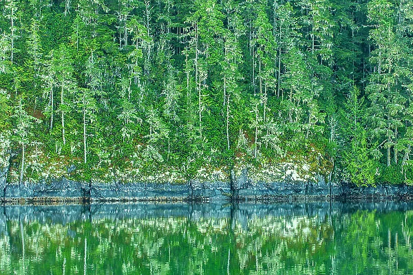 Canada, British Columbia, Inside Passage. Forest reflection in water