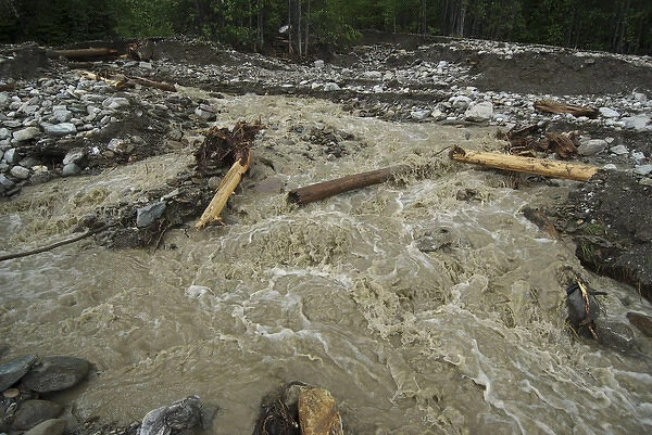 Canada: British Columbia, Kinbasket Lake Resort, west shore of lake, debris