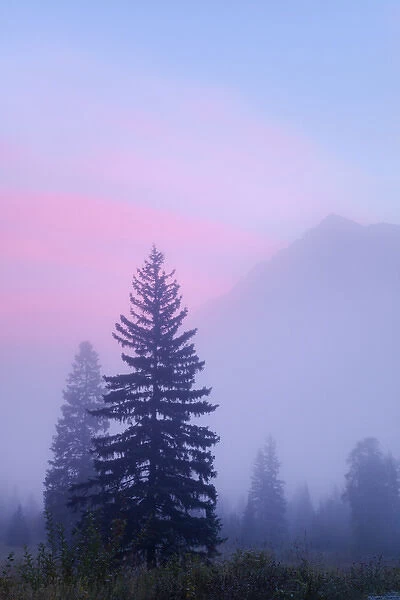 Canada, British Columbia, Mount Robson Provincial Park. Foggy sunrise scenic. Credit as