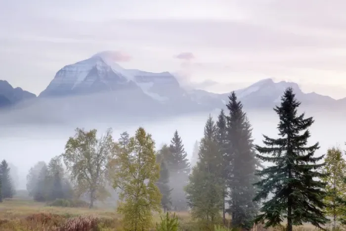 Framed Print : Canada, British Columbia, Mount Robson Provincial Park. Foggy sunrise on mountain landscape Framed Print : Canada, British Columbia, Mount Robson Provincial Park. Foggy sunrise on mountain landscape