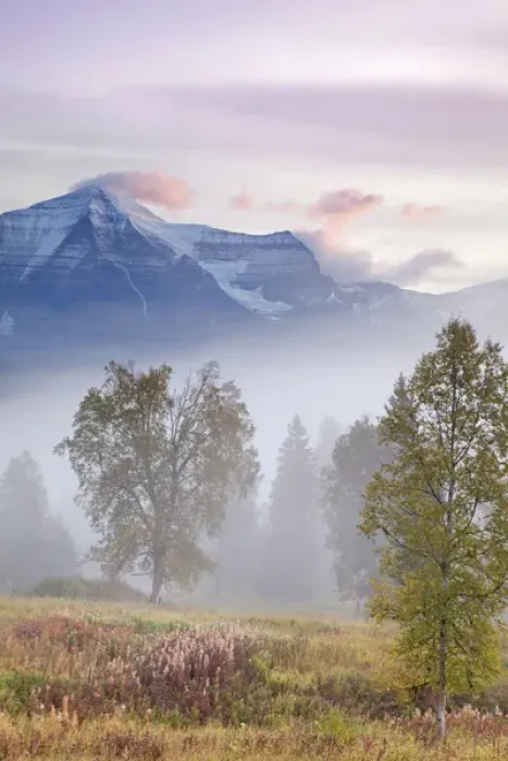 Framed Print : Canada, British Columbia, Mount Robson Provincial Park. Foggy sunrise on mountain landscape Framed Print : Canada, British Columbia, Mount Robson Provincial Park. Foggy sunrise on mountain landscape