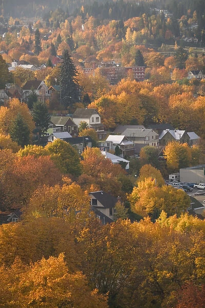 02. CANADA, British Columbia, Nelson. Autumn View of Town from Gyro Park