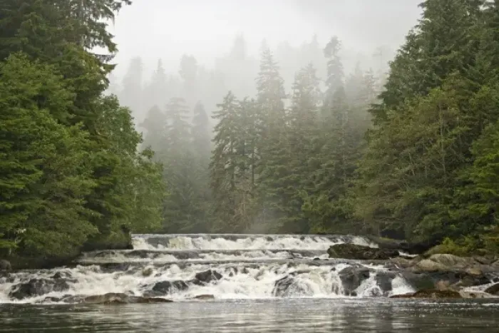 Framed Print : Canada, British Columbia, Princess Royal Island. Canoona River waterfalls next to misty forest