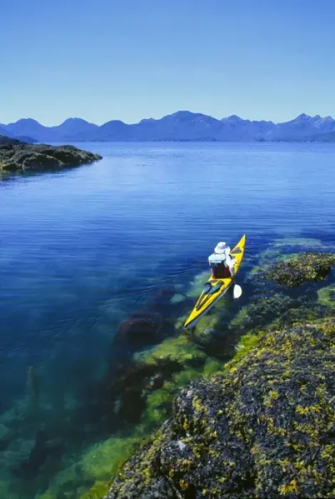 Framed Print : Canada, British Columbia, Queen Charlotte Islands. Kayaker and intertidal rockweed Framed Print : Canada, British Columbia, Queen Charlotte Islands. Kayaker and intertidal rockweed