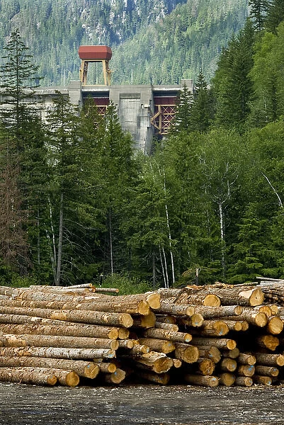 Canada: British Columbia, Revelstoke Power Dam seen from Forestry Museum