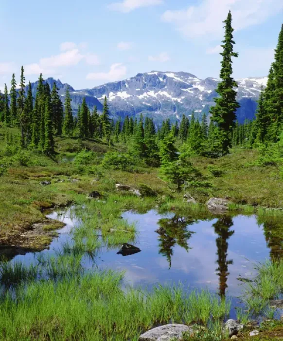 Framed Print : Canada; British Columbia; A tarn in the backcountry of Vancouver Island Framed Print : Canada; British Columbia; A tarn in the backcountry of Vancouver Island