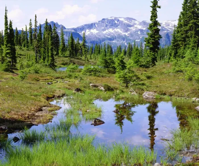 Framed Print : Canada; British Columbia; A tarn in the backcountry of Vancouver Island
