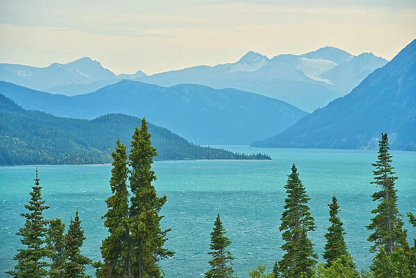 Canada, British Columbia. Tutshi Lake and Coast Mountains landscape