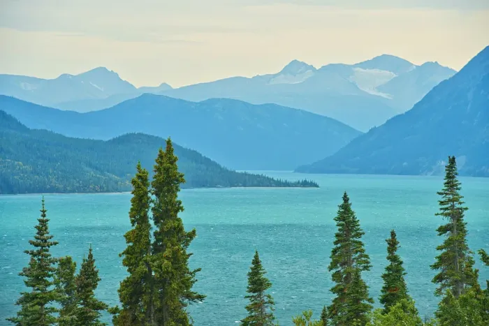 Framed Print : Canada, British Columbia. Tutshi Lake and Coast Mountains landscape