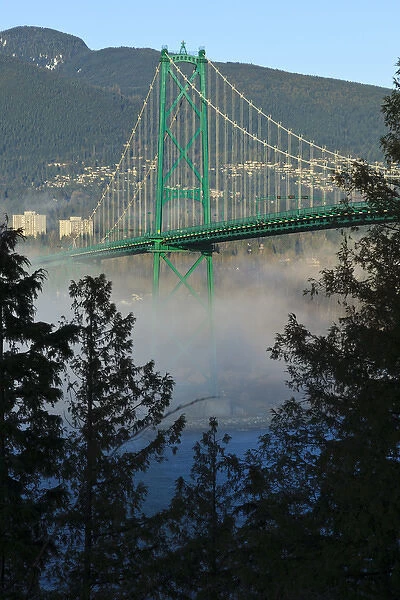 Canada, British Columbia, Vancouver, Stanley Park, part of the Lions Gate Bridge