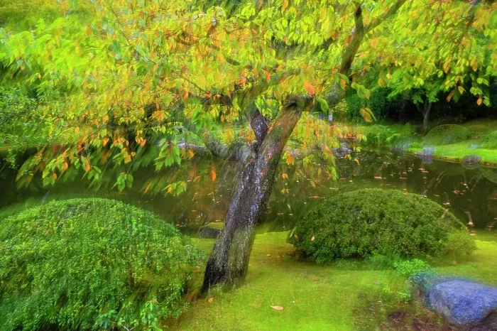 Framed Print : Canada, British Columbia, Vancouver. Autumn composite scenic with tree and pond. ©Dennis Kirkland / Jaynes Gallery / DanitaDelimont.com Framed Print : Canada, British Columbia, Vancouver. Autumn composite scenic with tree and pond. ©Dennis Kirkland / Jaynes Gallery / DanitaDelimont.com