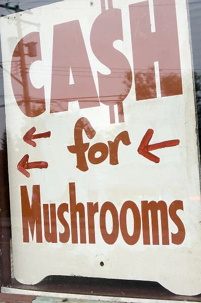 Canada, British Columbia, Vancouver Island. Cash for Mushrooms sign in Lake Cowichan