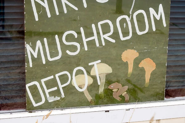 Canada, British Columbia, Vancouver Island. Mushroom Depot sign, Lake Cowichan