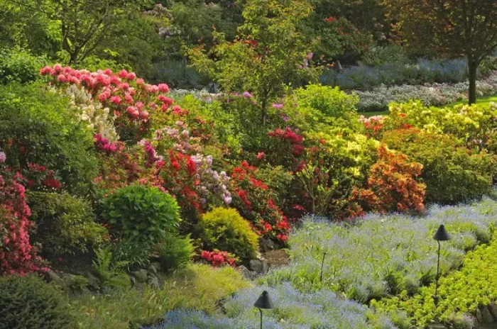 Framed Print : Canada, British Columbia, Vancouver Island. Scenic of world-famous Butchart Gardens