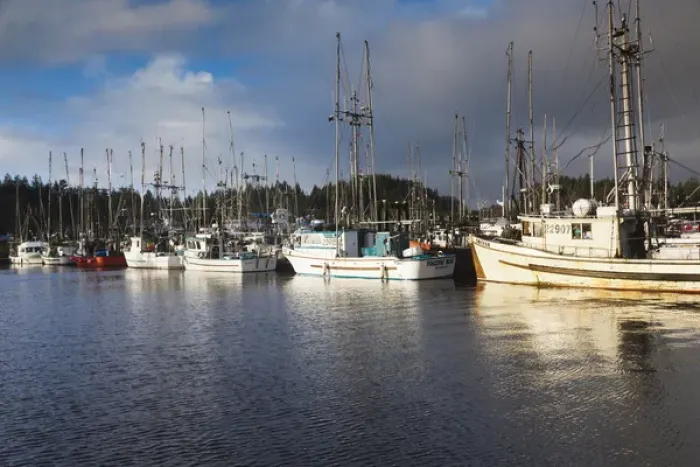 Framed Print : Canada, British Columbia, Vancouver Island, Ucluelet, Boat Basin Framed Print : Canada, British Columbia, Vancouver Island, Ucluelet, Boat Basin
