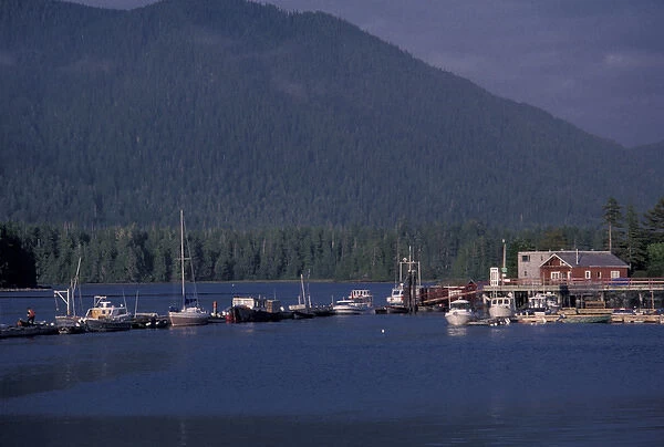 Canada, British Columbia, Vancouver Island Tofino harbor