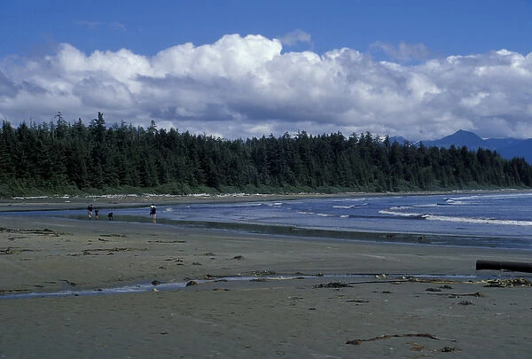 Canada, British Columbia, Vancouver Island Tofino beach