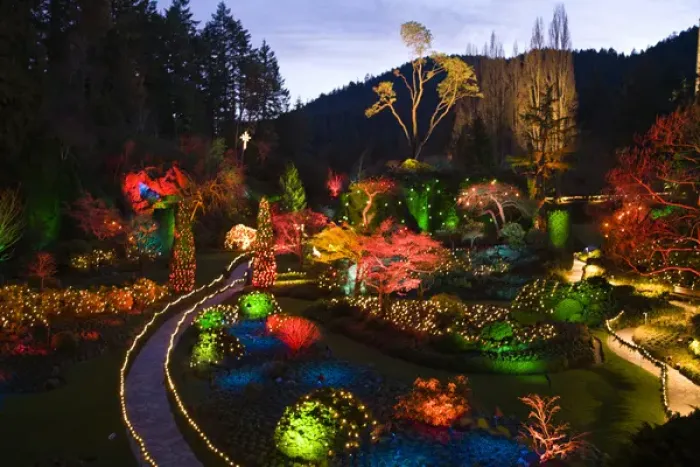 Framed Print : CANADA, British Columbia, Victoria. Christmas Lighting, Butchart Gardens Framed Print : CANADA, British Columbia, Victoria. Christmas Lighting, Butchart Gardens
