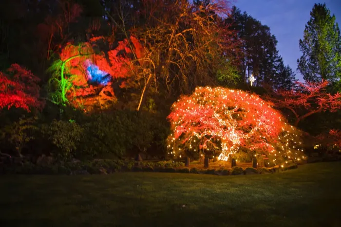 Framed Print : CANADA, British Columbia, Victoria. Christmas Lighting, Butchart Gardens