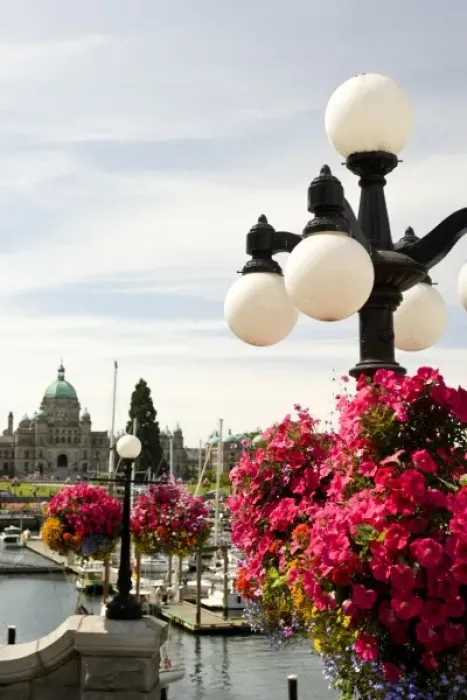 Framed Print : CANADA, British Columbia, Victoria. Hanging Flower Baskets Framed Print : CANADA, British Columbia, Victoria. Hanging Flower Baskets