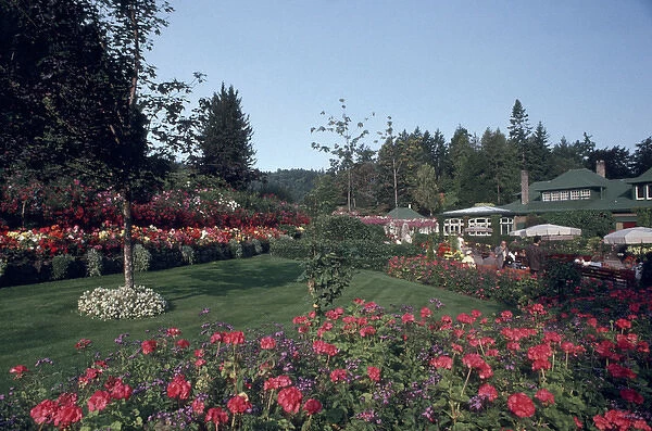 Canada, British Columbia, Victoria Flowers at Butchart Gardens