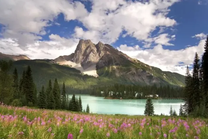Framed Print : Canada, British Columbia, Yoho National Park. View of Emerald Lake and surrounding wilderness