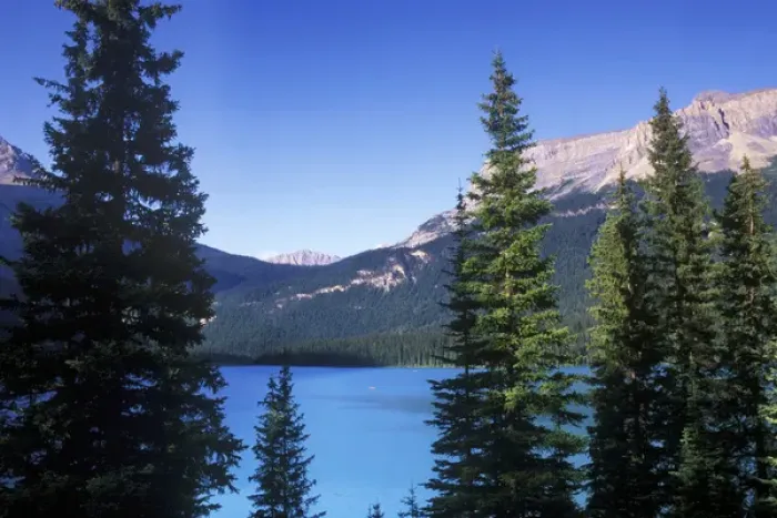 Framed Print : Canada, British Columbia, Yoho NP, Emerald Lake, View From Emerald Lake Lodge Framed Print : Canada, British Columbia, Yoho NP, Emerald Lake, View From Emerald Lake Lodge