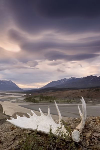 Canada, British Columbia, Yukon Territory, Alsek River Valley. Moose antler and rugged landscape