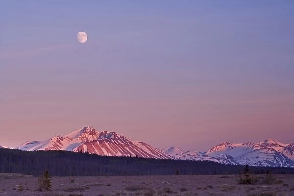 Canada, British Columbia, Yukon Territory, Alsek River Valley. Landscape of moonrise