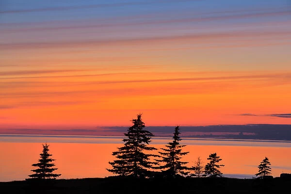 Canada, Gulf of St. Lawrence, West Cape. Trees silhouetted at dusk on Prince Edward Island