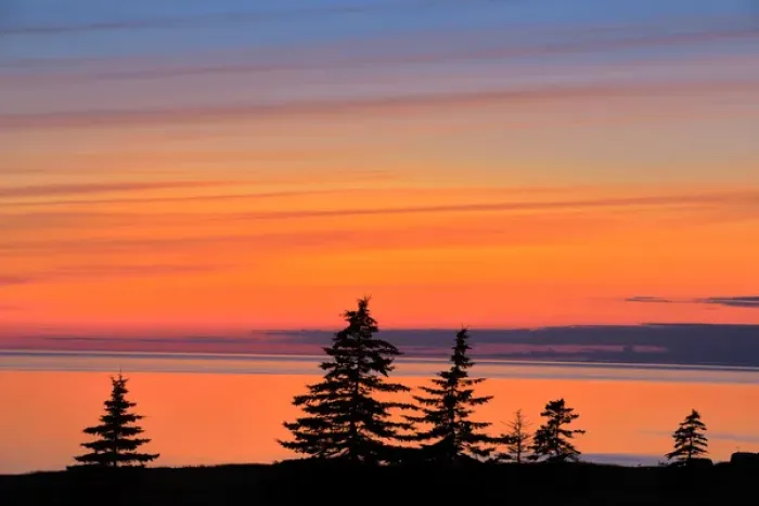 Framed Print : Canada, Gulf of St. Lawrence, West Cape. Trees silhouetted at dusk on Prince Edward Island
