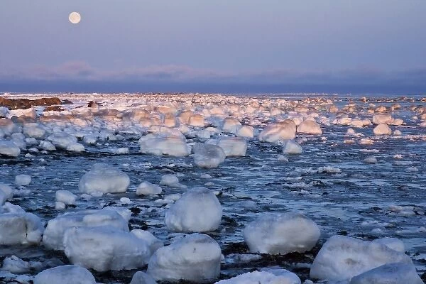 Canada, Hudson Bay. Sunset and full moon rising on ice-covered rocks