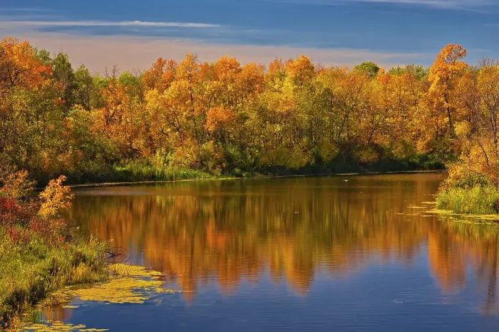 Framed Print : Canada, Manitoba. Autumn scene, Grindstone Point Road and Hwy 8