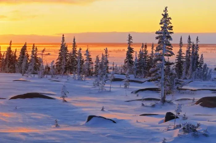 Framed Print : Canada, Manitoba, Churchill, Hudson Bay. Sunrise on snowy tundra