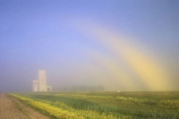 Canada, Manitoba, Culross. Fogbow and grain elevator