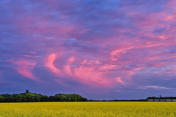 Canada, Manitoba, Dugald. Clouds at sunset on prairie