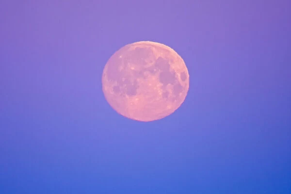 Canada, Manitoba, Dugald. Full moon at dawn. Credit as: Mike Grandmaison  /  Jaynes Gallery