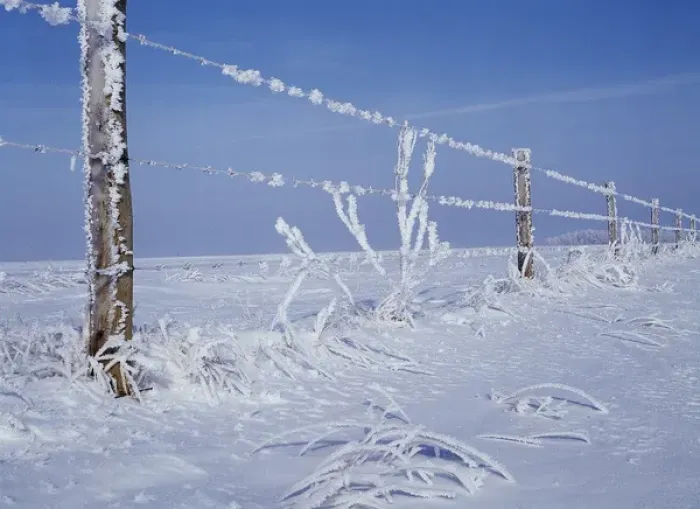 Framed Print : Canada, Manitoba, Dugald, View of hoarfrost and fence