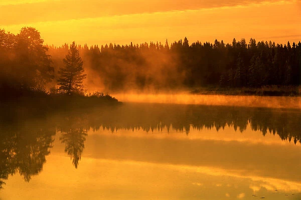 Canada, Manitoba. Fog at sunrise over Whiteshell River