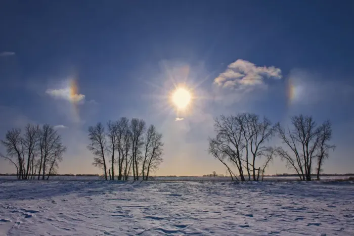 Framed Print : Canada, Manitoba, Grande Pointe. Sundogs and cottonwood trees
