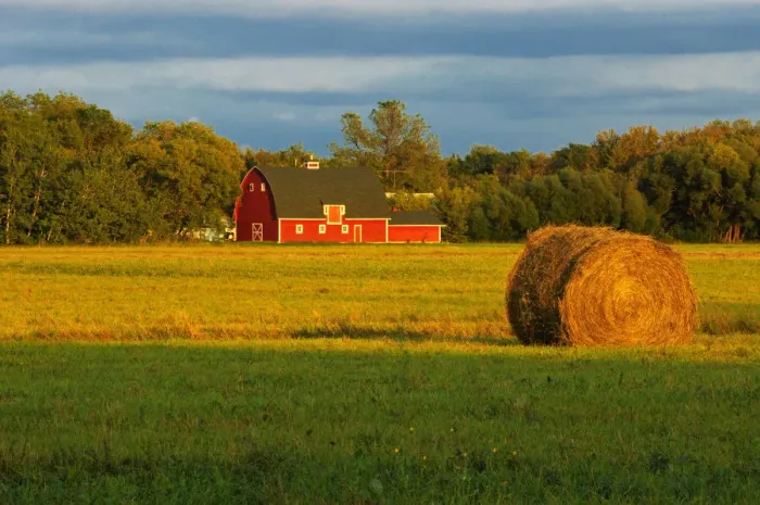 Framed Print : Canada, Manitoba, Matlock. Red barn and bale at sunrise Framed Print : Canada, Manitoba, Matlock. Red barn and bale at sunrise